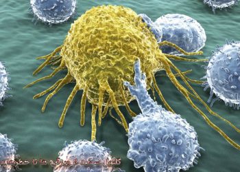 wbc - گلبول سفید