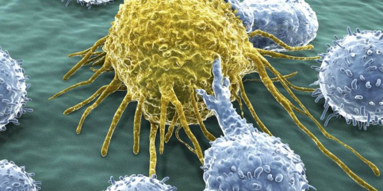 wbc - گلبول سفید