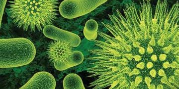 معرفی بیماری‌های عفونی مربوط به میکرو‌ارگانیسم‌ها